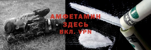 ешки Корсаков