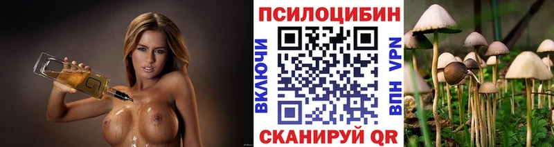 Псилоцибиновые грибы Psilocybine cubensis Завитинск